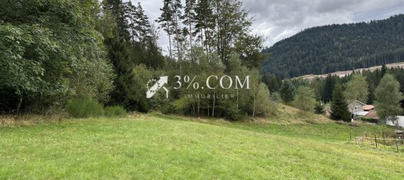 Terreno en Gerardmer, France No. 225573 11