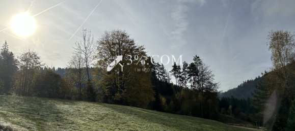 Terreno en Gerardmer, France No. 225573 20