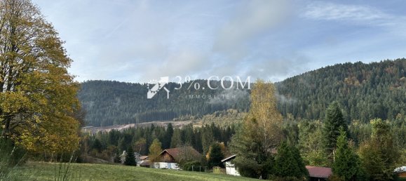 Terreno en Gerardmer, France No. 225573 3
