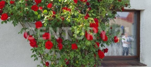 Café / restaurante em Bautzen, Germany N.º 204470 4