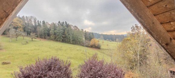 7 غرف نوم منزل في Ostalbkreis, Germany رقم 32553 28