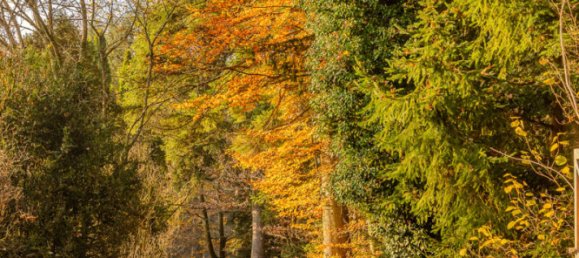 7 غرف نوم منزل في Ostalbkreis, Germany رقم 32553 39