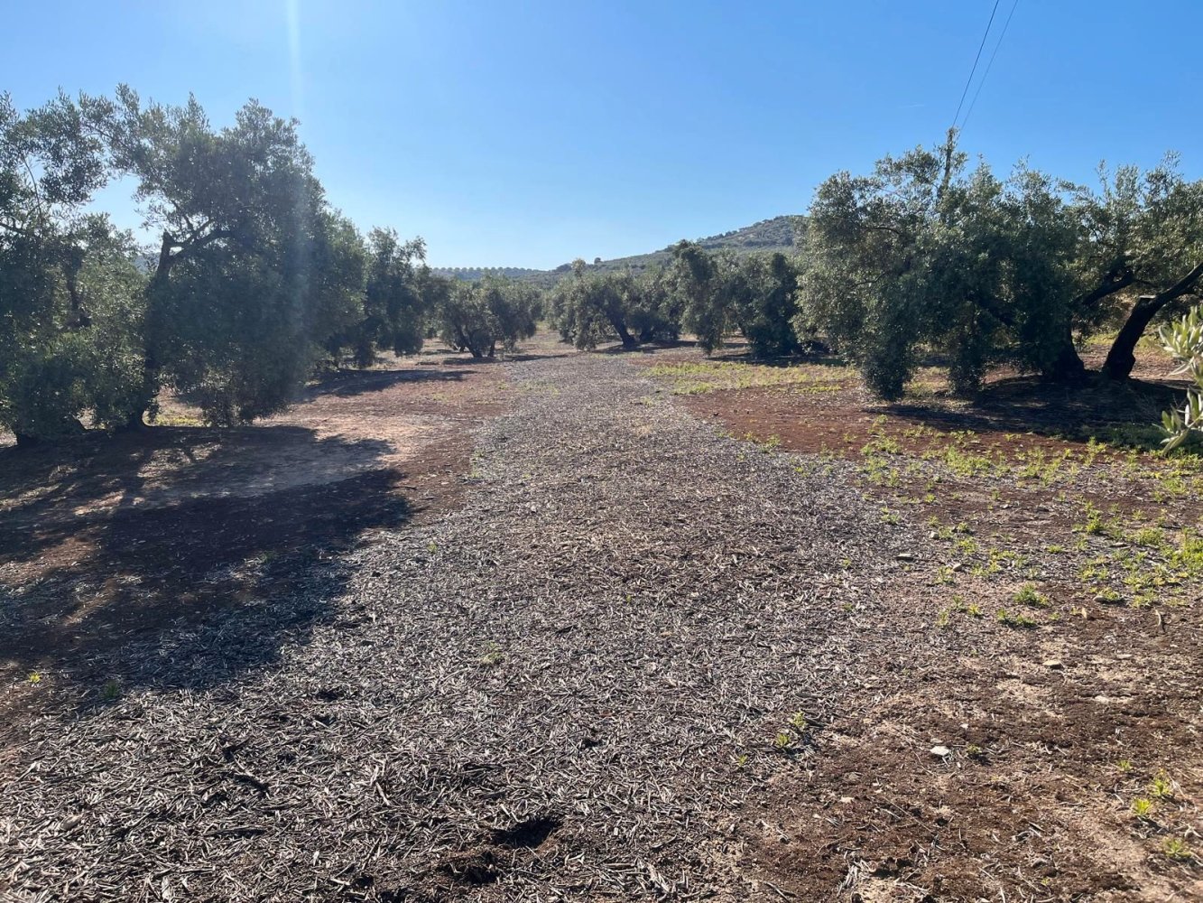  قطعة أرض في Cordoba, Spain 70000متر مربع رقم 161536