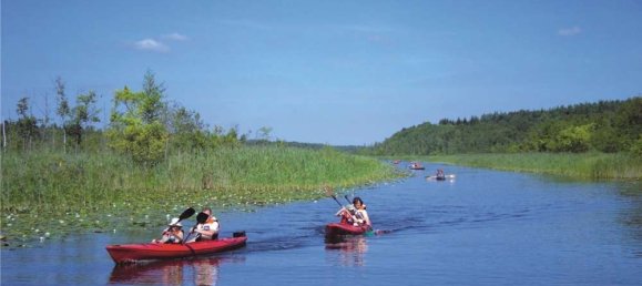 Apartamento T1 em Mecklenburgische Seenplatte, Germany N.º 154035 28