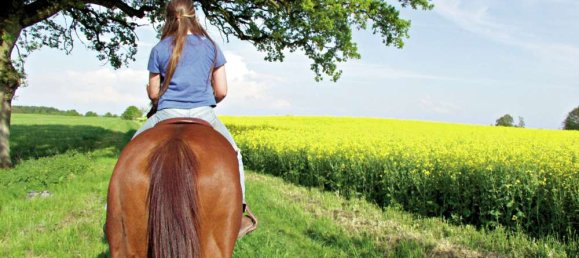 Apartamento T1 em Mecklenburgische Seenplatte, Germany N.º 154035 30