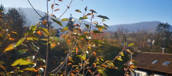 4 bedrooms Townhouse in Baden-Wurttemberg, Germany No. 116998 2