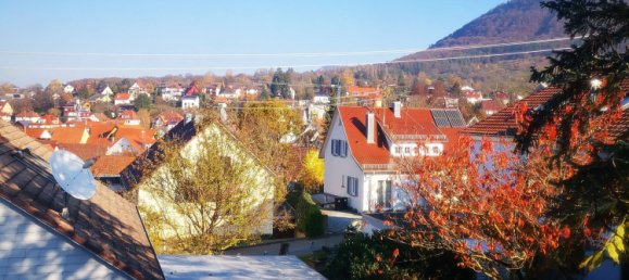 4 bedrooms Townhouse in Baden-Wurttemberg, Germany No. 116998 5