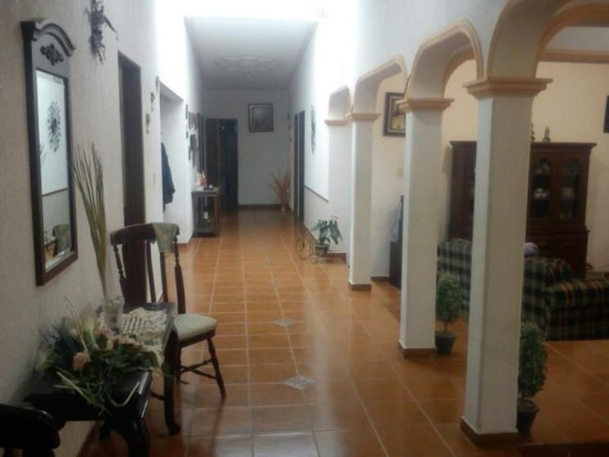4 bedrooms House in Aguascalientes, Mexico No. 145722
