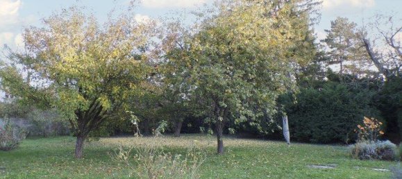 5 rooms House in Vienna, Austria No. 118592 2