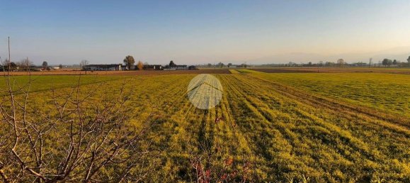 Studio in Villafranca Piemonte, Italy, Nr. 258586 3