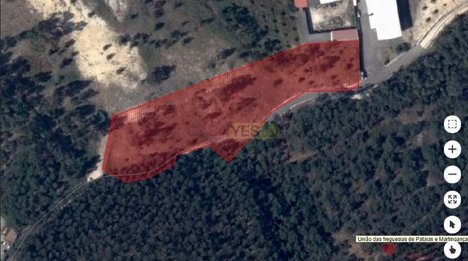 Terrain à Alcobaca, Portugal 3755m² No. 72480