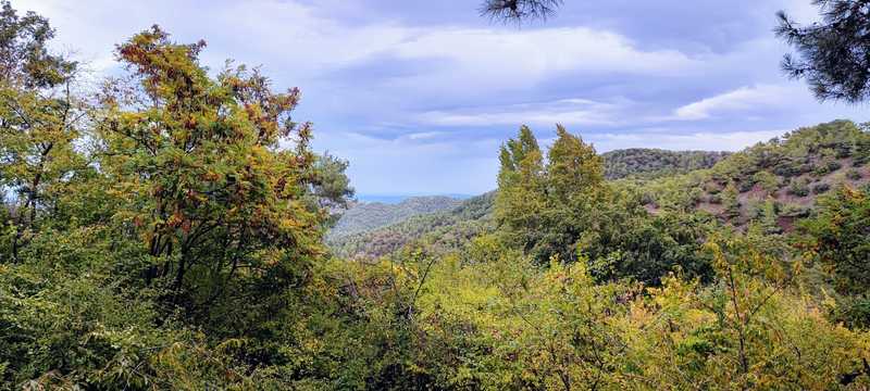 5 bedrooms House in Pedoulas, Cyprus No. 6795