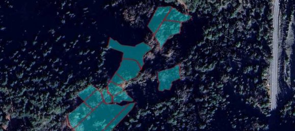 5 bedrooms House in Pedoulas, Cyprus No. 6795 4