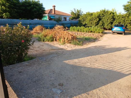 Дом с 2 спальнями в Альколеа, Испания № 240032