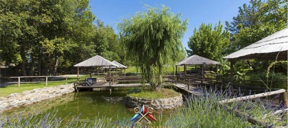 6 bedrooms Villa in Pitigliano, Italy No. 70996 16