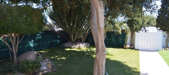 4 bedrooms House in Torrevieja, Spain No. 184744 27