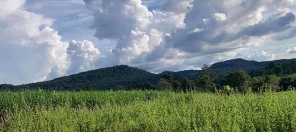  Commercial property in Hua Hin, Thailand No. 8315 7