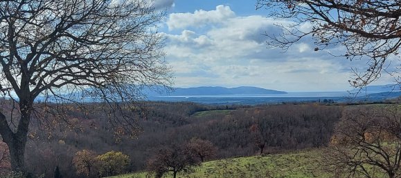 200000m² Land in Magliano in Toscana, Italy No. 138156 14