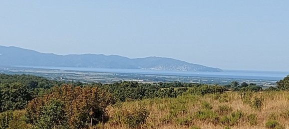 200000m² Land in Magliano in Toscana, Italy No. 138156 31