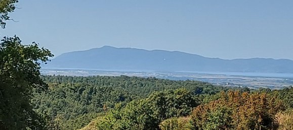 200000m² Land in Magliano in Toscana, Italy No. 138156 34