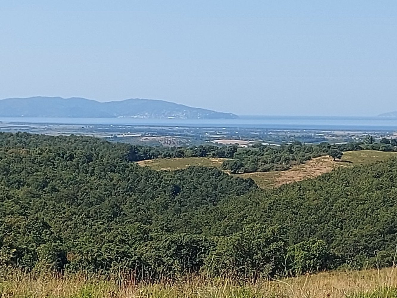 200000m² Land in Magliano in Toscana, Italy No. 138156