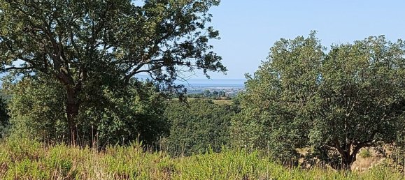 200000m² Land in Magliano in Toscana, Italy No. 138156 44