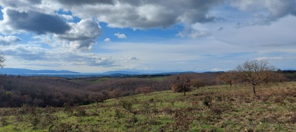200000m² Land in Magliano in Toscana, Italy No. 138156 7