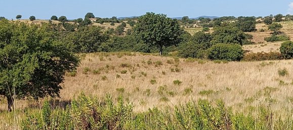 200000m² Land in Magliano in Toscana, Italy No. 138156 45