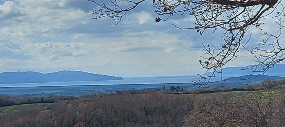 200000m² Land in Magliano in Toscana, Italy No. 138156 16