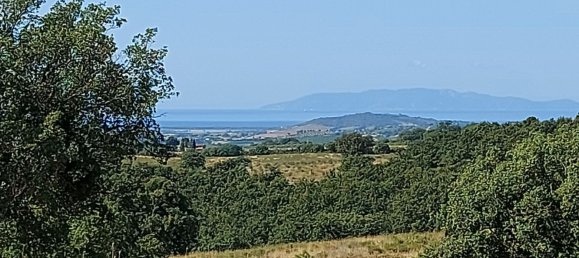 200000m² Land in Magliano in Toscana, Italy No. 138156 41