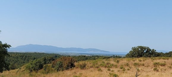 200000m² Land in Magliano in Toscana, Italy No. 138156 30