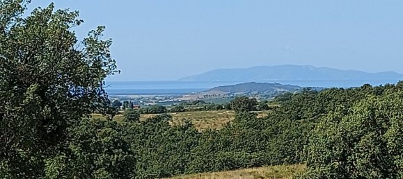 200000m² Land in Magliano in Toscana, Italy No. 138156 37