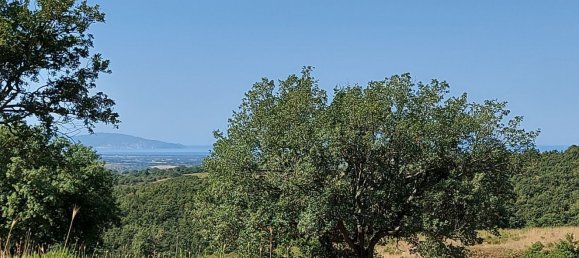 200000m² Land in Magliano in Toscana, Italy No. 138156 43