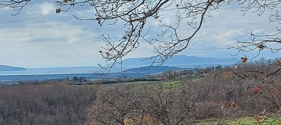 200000m² Land in Magliano in Toscana, Italy No. 138156 17