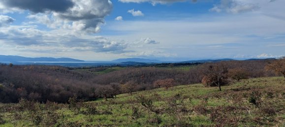 200000m² Land in Magliano in Toscana, Italy No. 138156 10