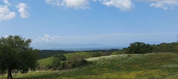 200000m² Land in Magliano in Toscana, Italy No. 138156 26