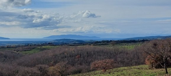 200000m² Land in Magliano in Toscana, Italy No. 138156 11