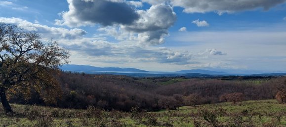 200000m² Land in Magliano in Toscana, Italy No. 138156 8