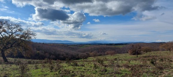 200000m² Land in Magliano in Toscana, Italy No. 138156 6