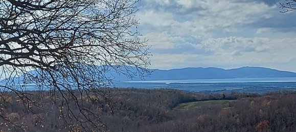 200000m² Land in Magliano in Toscana, Italy No. 138156 15