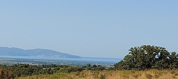 200000m² Land in Magliano in Toscana, Italy No. 138156 35