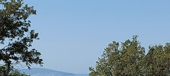 200000m² Land in Magliano in Toscana, Italy No. 138156 42