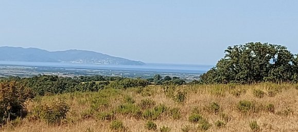 200000m² Land in Magliano in Toscana, Italy No. 138156 32