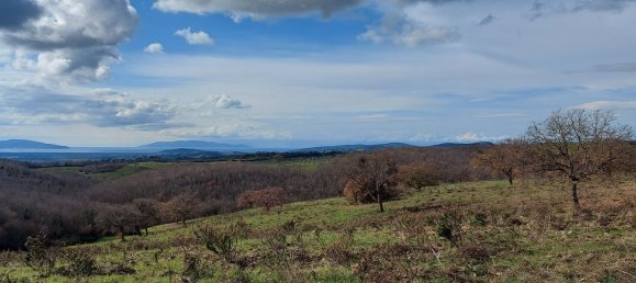 200000m² Land in Magliano in Toscana, Italy No. 138156 9