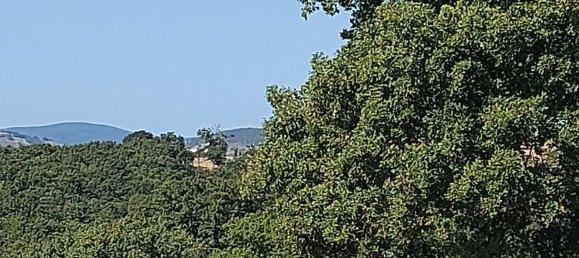 200000m² Land in Magliano in Toscana, Italy No. 138156 49