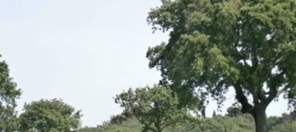 200000m² Land in Magliano in Toscana, Italy No. 138156 3