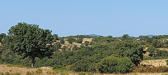 200000m² Land in Magliano in Toscana, Italy No. 138156 38