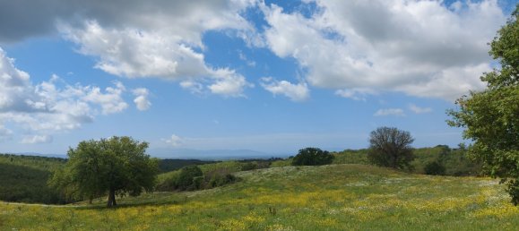 200000m² Land in Magliano in Toscana, Italy No. 138156 22