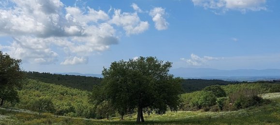 200000m² Land in Magliano in Toscana, Italy No. 138156 25