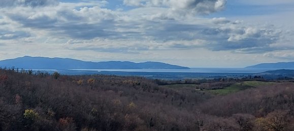 200000m² Land in Magliano in Toscana, Italy No. 138156 2